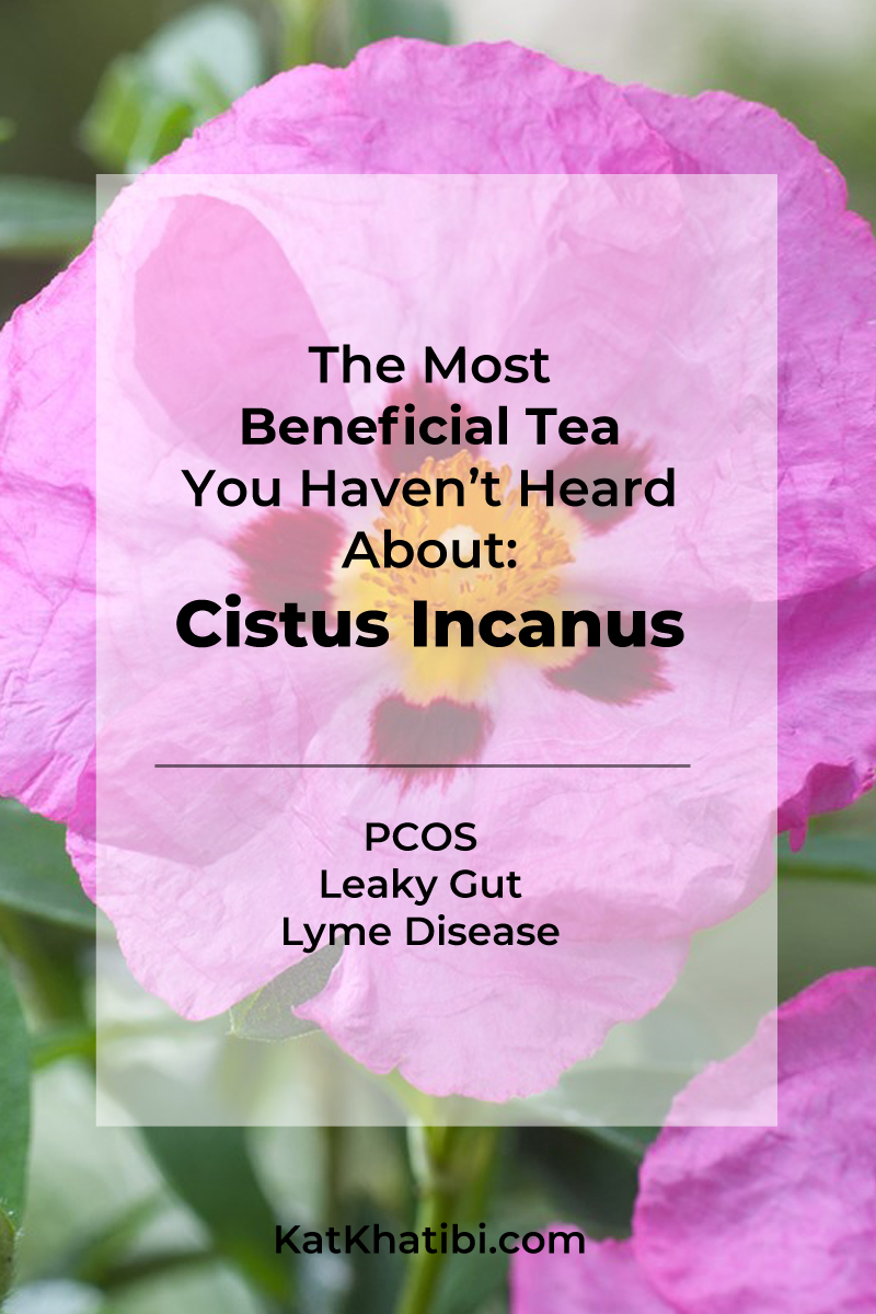 Cistus Incanus for PCOS Leaky Gut Lyme Disease